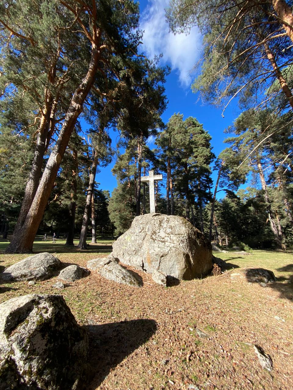 Памятник в лесу